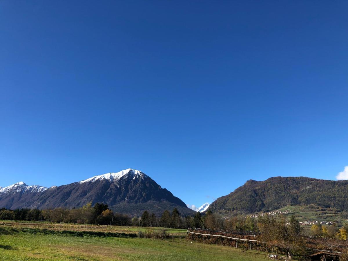 Appartamento Trentino II 科马诺泰梅 外观 照片