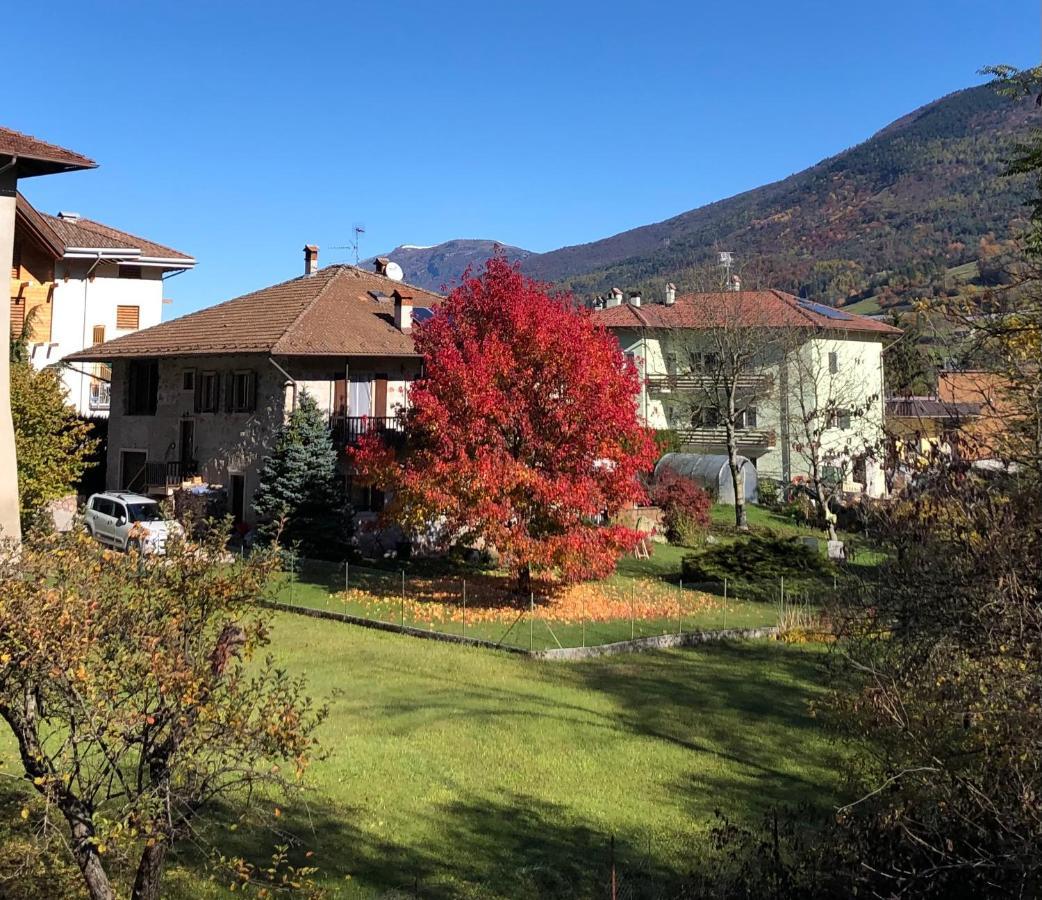 Appartamento Trentino II 科马诺泰梅 外观 照片