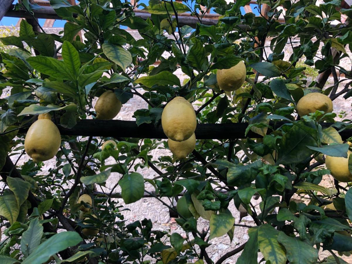 Appartamento Trentino II 科马诺泰梅 外观 照片